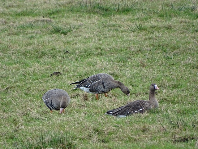 哈尔滨礼盒包装
