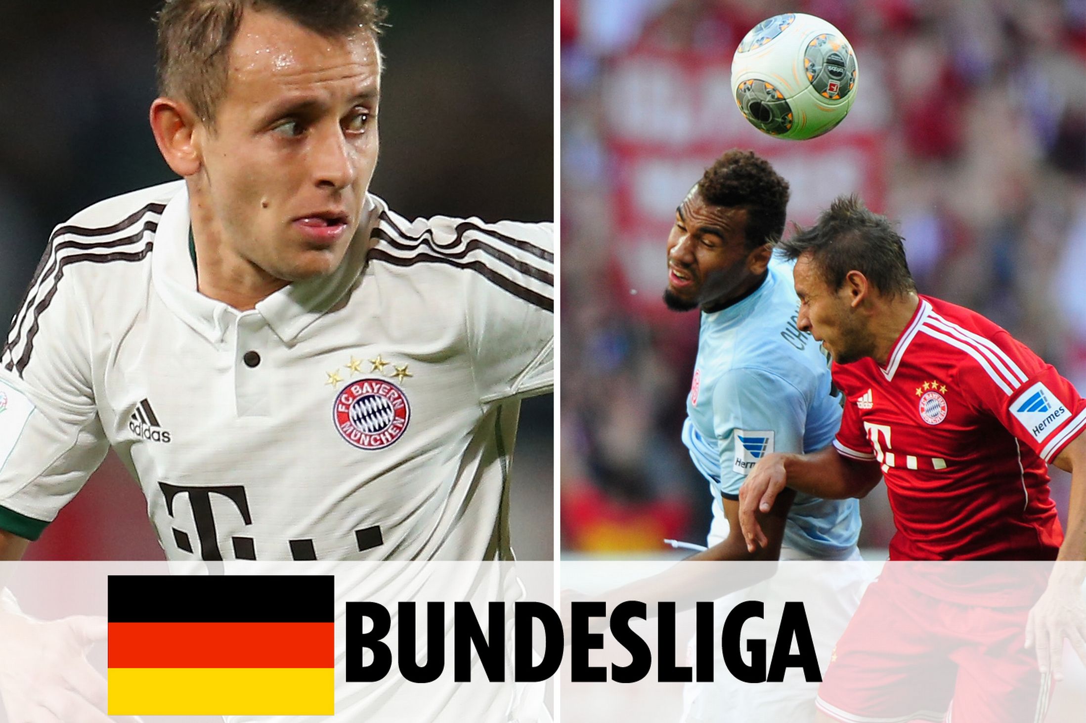 哈尔滨食品包装